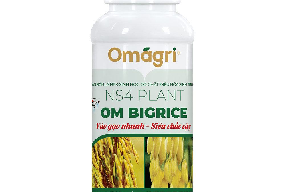 Om Bigrice