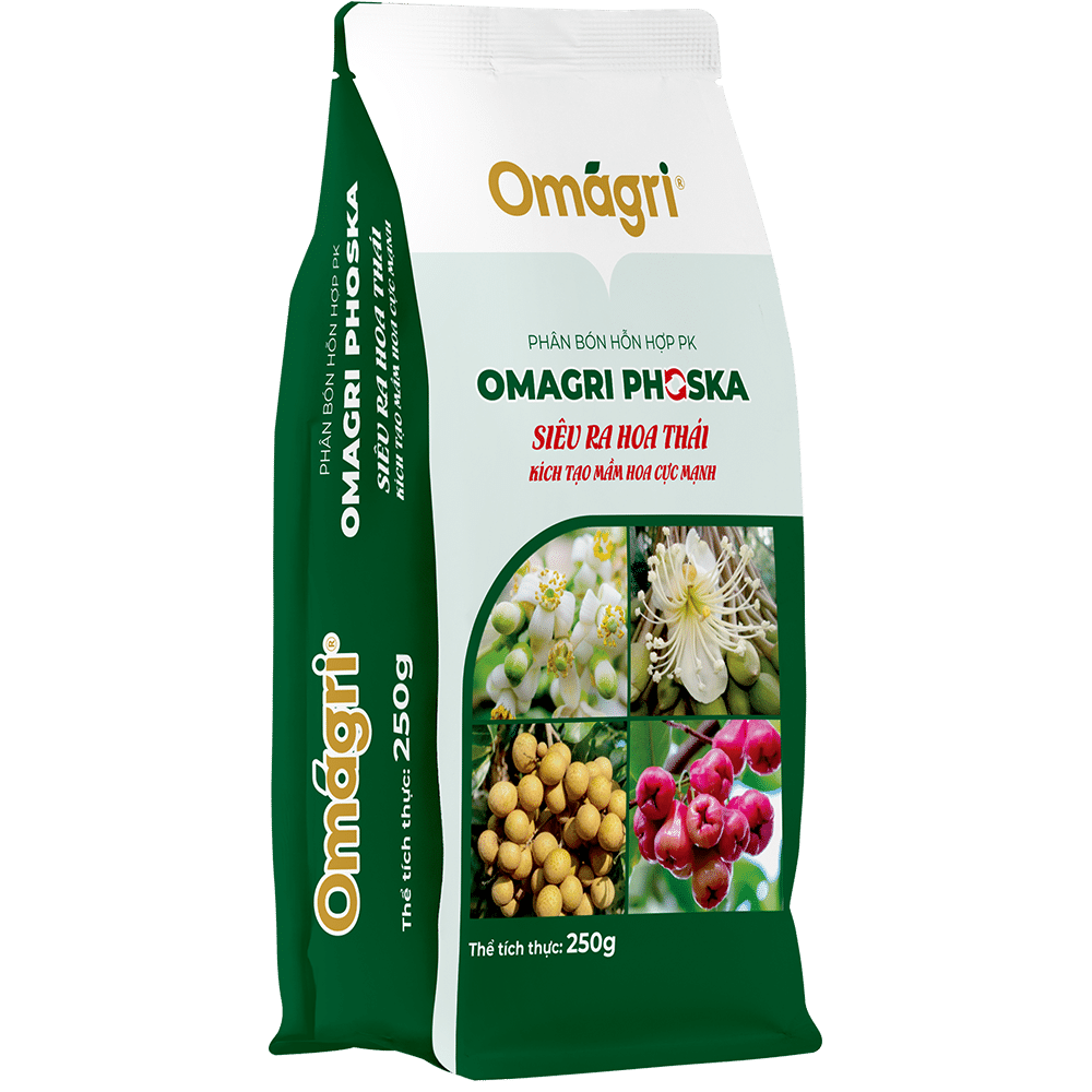 Omagri Phoska – Siêu Ra Hoa Thái