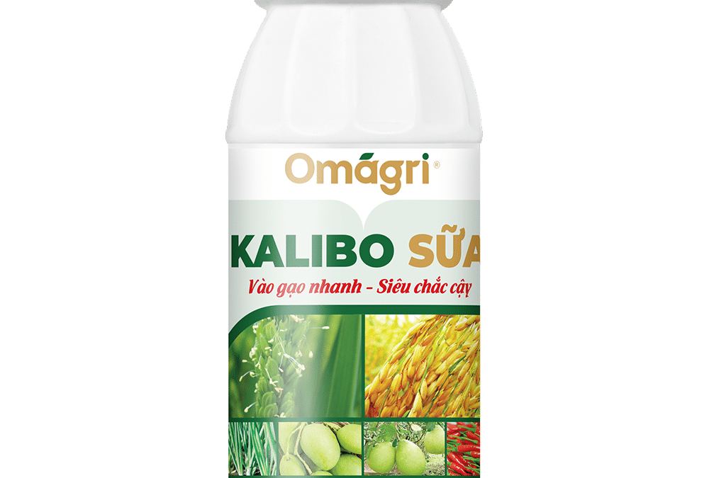 Kalibo Sữa