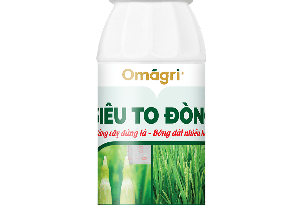 Siêu To Đòng